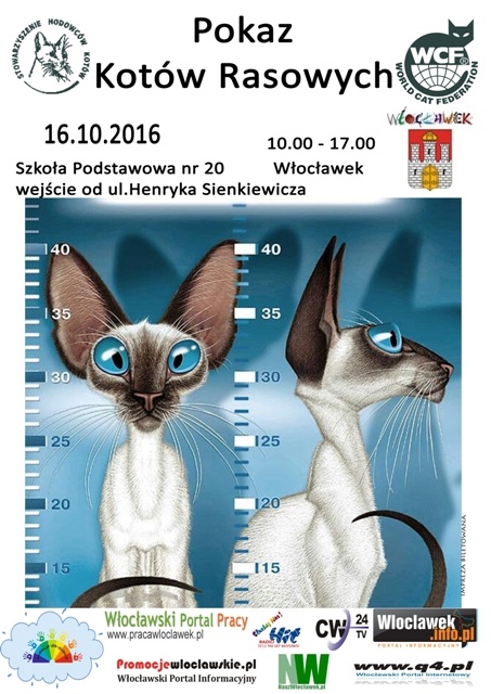 pokaz-kotow-rasowych-we-wloclawku-2016